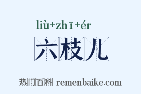 六枝儿是什么意思的图片